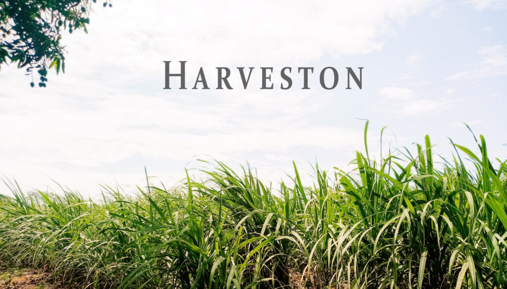 Harveston Community in Baton Rouge